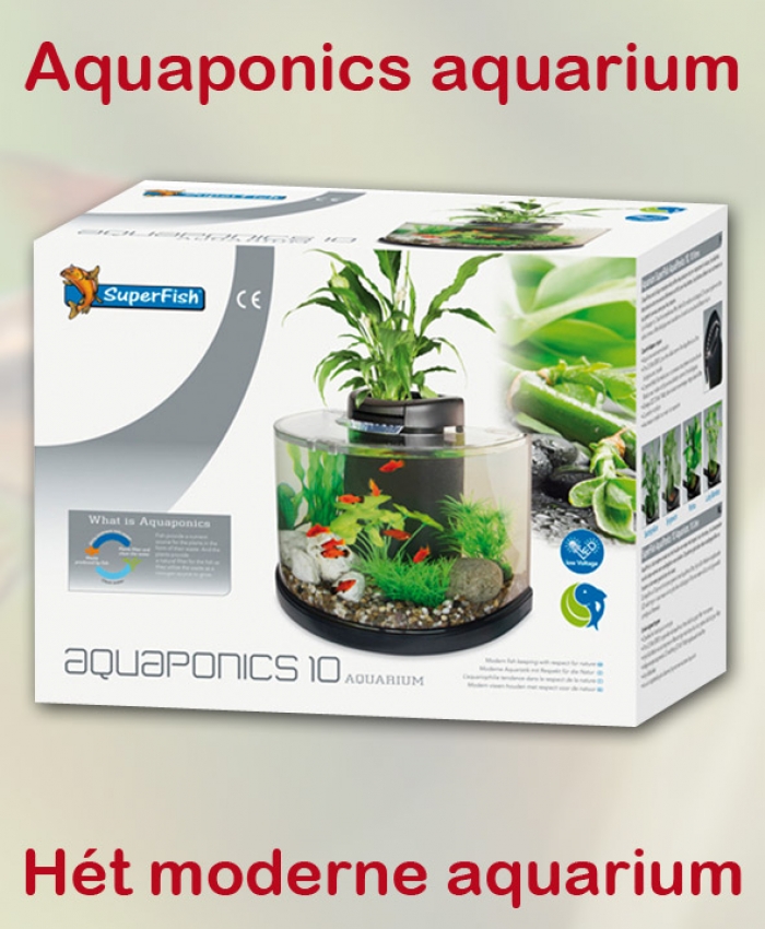 aquaponics zelf maken - aquaponic